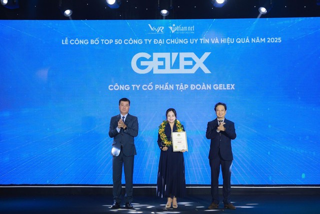 GELEX thuộc TOP 50 Công ty đại chúng uy tín và hiệu quả- Ảnh 1.