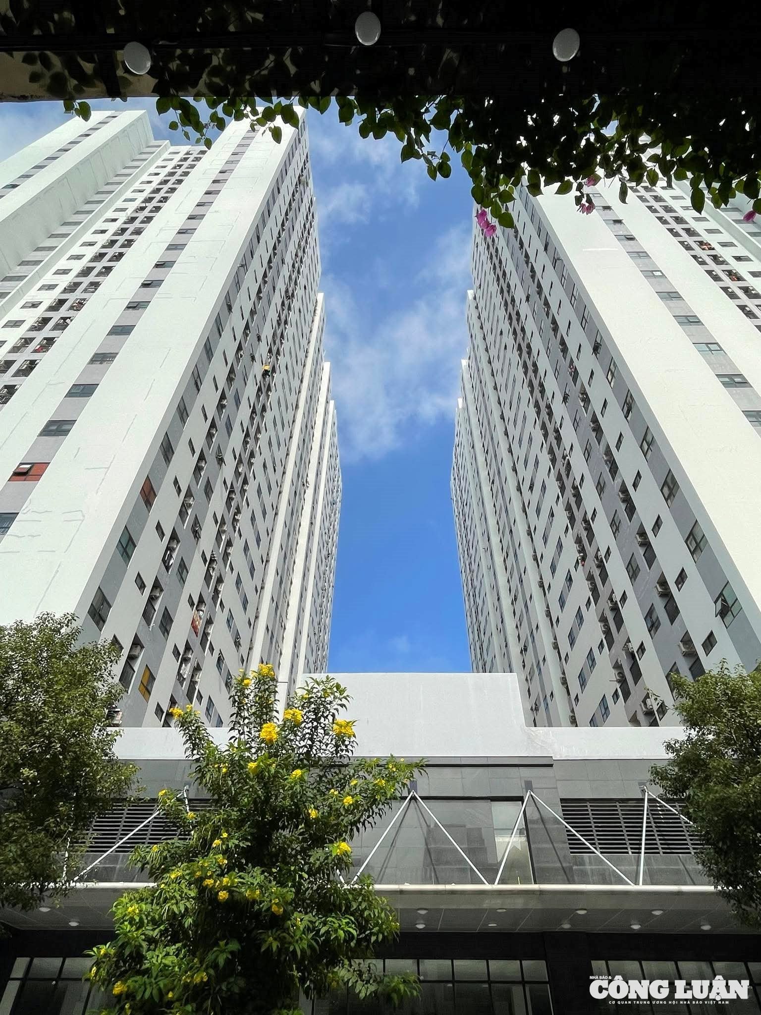 Hải Phòng sẽ cưỡng chế thu hồi nhà chung cư thuộc tài sản công đối với các hộ dân không sử dụng, cho người khác thuê và không nộp tiền thuê nhà.