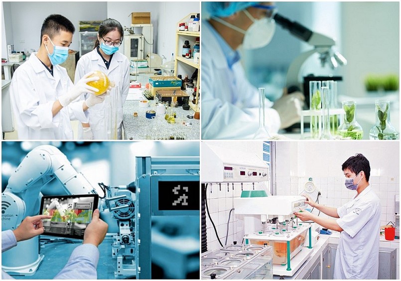 C&aacute;c doanh nghiệp c&ocirc;ng nghệ cao, n&ocirc;ng nghiệp ứng dụng c&ocirc;ng nghệ cao, v&agrave; khoa học c&ocirc;ng nghệ được hưởng nhiều ưu đ&atilde;i từ Luật Thuế TNDN số 67/2025/QH15 . Ảnh: TL