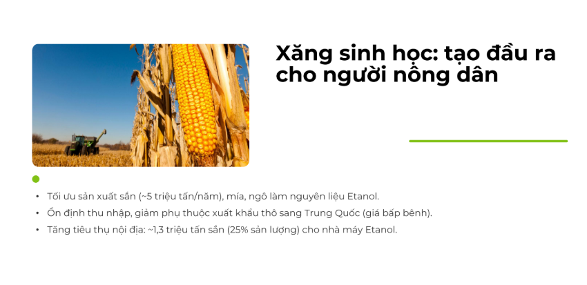 E10 - Giải pháp nâng cấp chất lượng xăng và thúc đẩy lộ trình năng lượng xanh