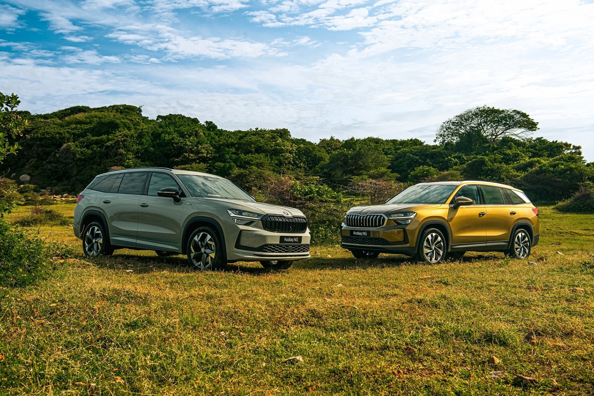 Mẫu SUV đến từ Đông Âu có 2 phiên bản tại thị trường Việt Nam - Ảnh- Skoda