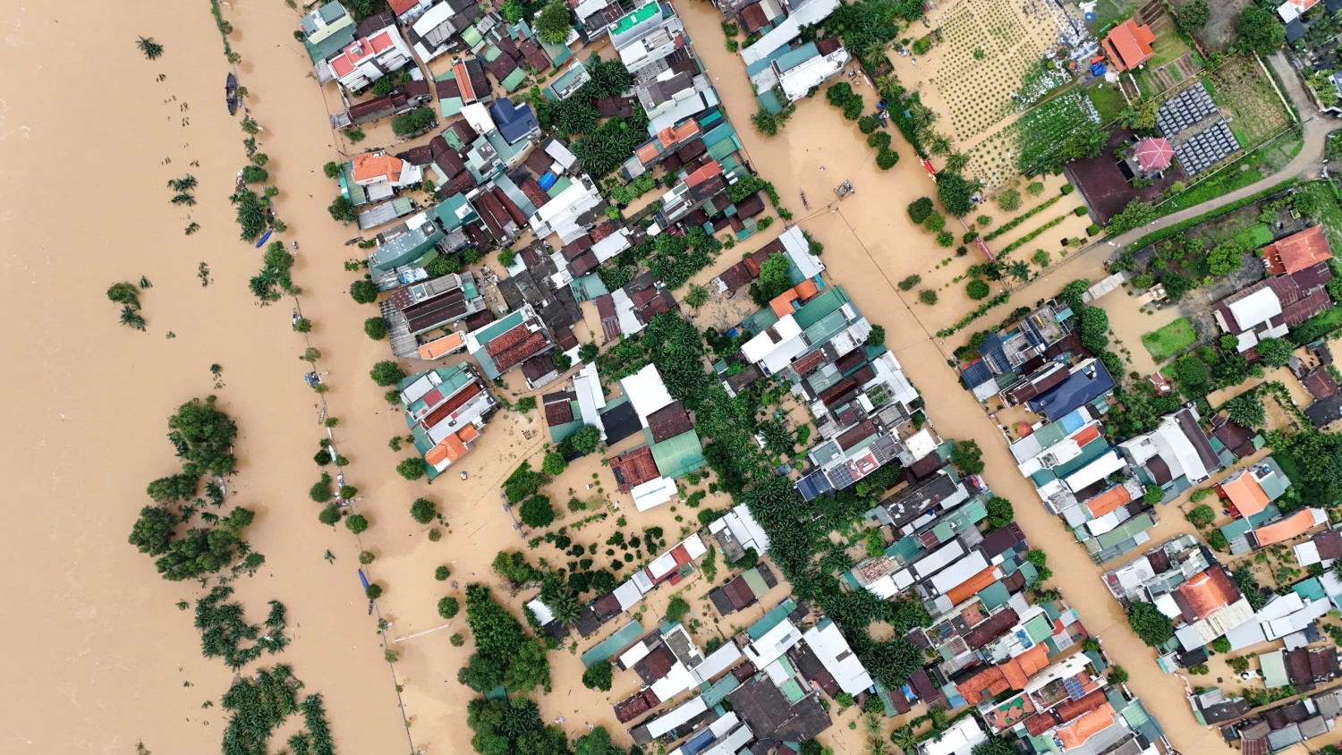 Theo Báo cáo nhanh của Cục Đê điều và Phòng, chống thiên tai (Bộ Nông nghiệp và Môi trường) đến sáng 2/11, mưa lũ tại các tỉnh miền trung và Tây Nguyên đã khiến 40 người chết, mất tích, 60 người bị thương. Hơn 16.500 ngôi nhà bị ngập, hàng trăm nhà sập, hư hỏng cùng hàng nghìn ha hoa màu, vật nuôi bị thiệt hại nặng nề. Theo Báo cáo nhanh của Cục Đê điều và Phòng, chống thiên tai (Bộ Nông nghiệp và Môi trường) đến sáng 2/11, mưa lũ tại các tỉnh miền trung và Tây Nguyên đã khiến 40 người chết, mất tích, 60 người bị thương. Hơn 16.500 ngôi nhà bị ngập, hàng trăm nhà sập, h