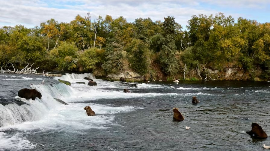 Screenshot 2025-11-11 144108