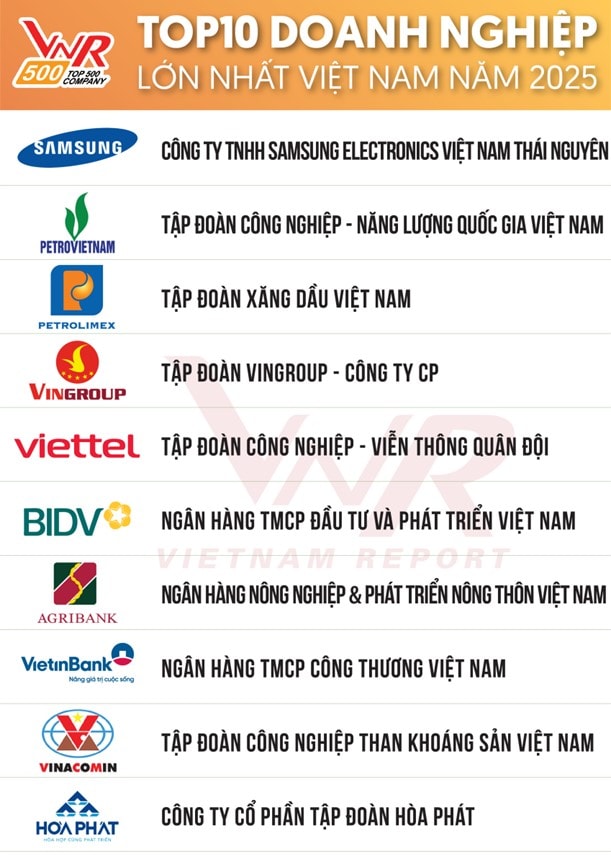 Top 10 DN lớn nhất VN 2025
