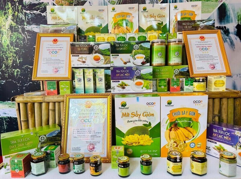 Nghệ An là tỉnh đứng top đầu cả nước về số lượng sản phẩm OCOP đạt hạng sao được công nhận. Ảnh: Thu Huyền