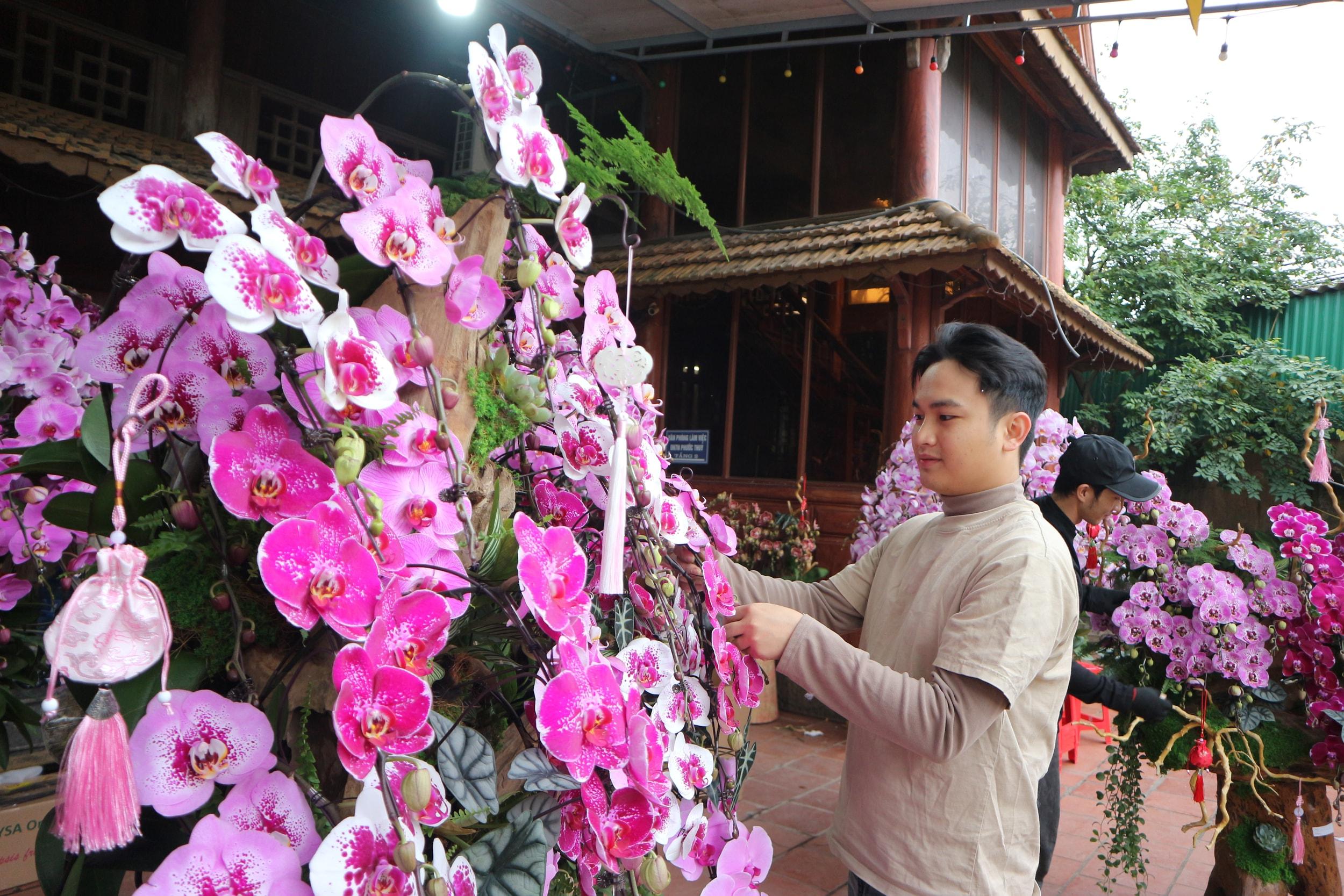 Theo anh Phan Quốc Tiến, ngoài sự khéo tay, có mắt thẩm mỹ, nghề cắm hoa lan còn phải có sức khỏe, tính dẻo dai