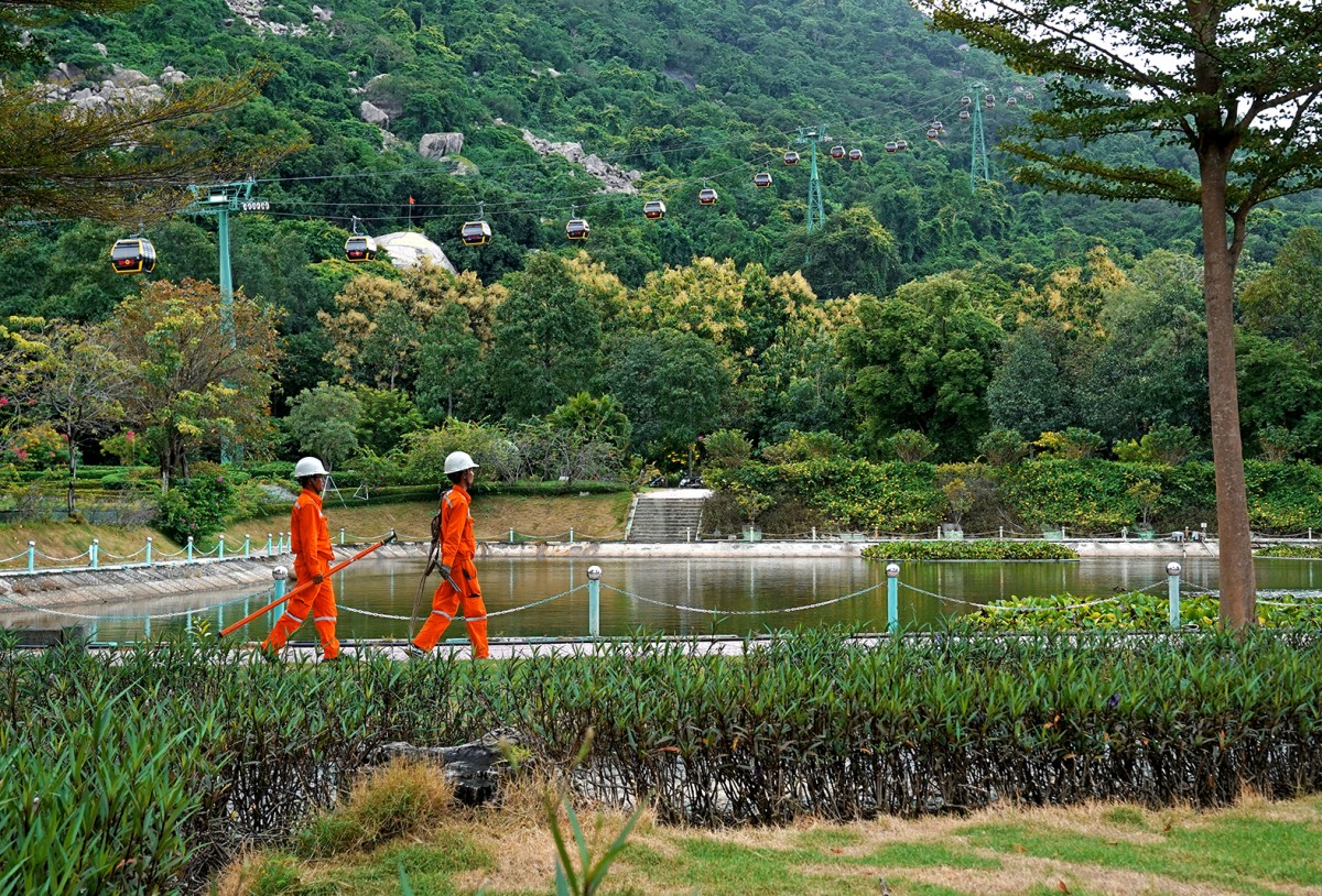 Ngành điện miền Nam sẵn sàng đảm bảo cấp điện Tết Bính Ngọ 2026