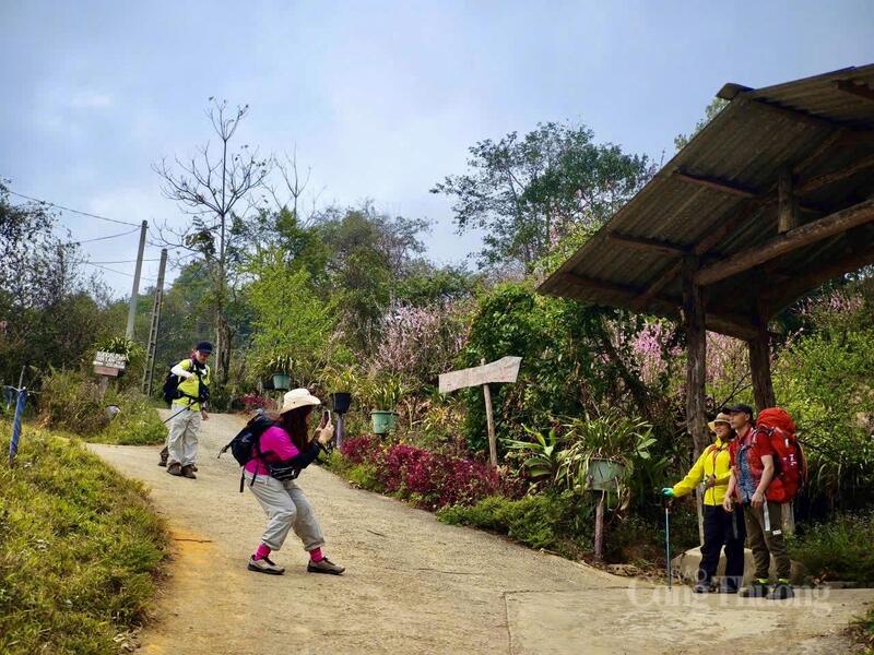 Du khách trải nghiệm tại bản du lịch cộng đồng Sin Suối Hồ.