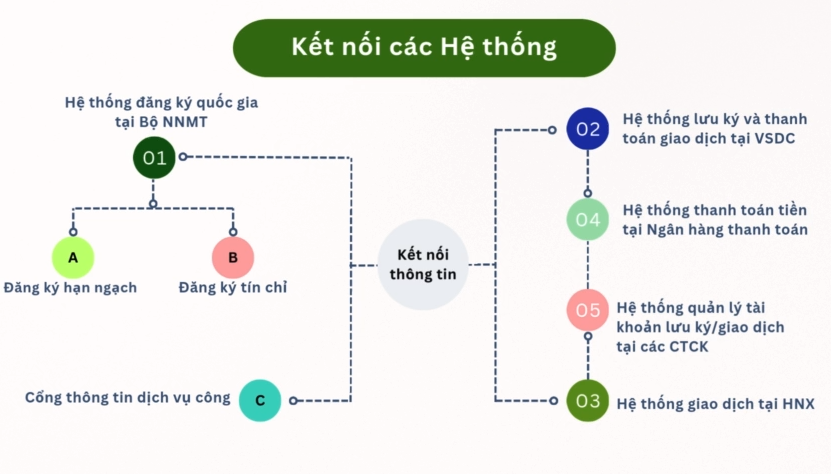 Sàn giao dịch carbon sẽ vận hành như thế nào tại Việt Nam?