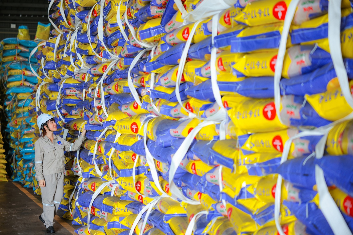 PVFCCo – Phú Mỹ: 23 năm bền bỉ mở rộng giá trị, vươn tầm thị trường