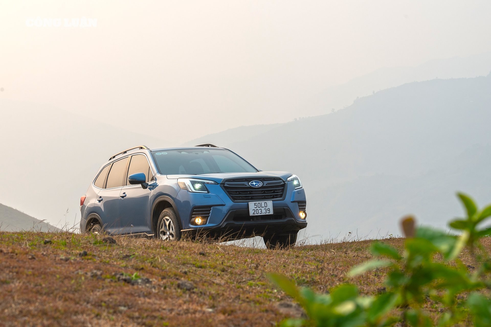 Mẫu xe Subaru Forester trước đây được nhập khẩu nguyên chiếc từ Thái Lan.