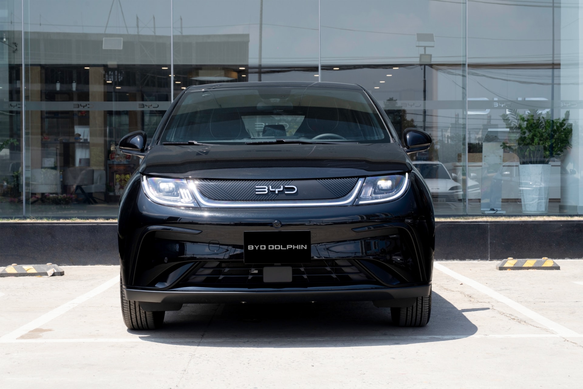 BYD Dolphin 20266