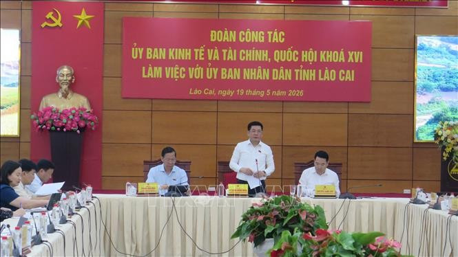Phó Chủ tịch Quốc hội Nguyễn Hồng Diên phát biểu chỉ đạo tại buổi làm việc (ảnh: TTXVN). 16.jpg