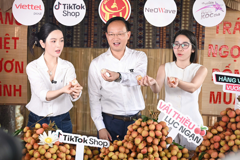 Tại phiên live, thông tin từ Ban tổ chức, nguồn cung vải u hồng không nhiều, chỉ hơn 2 tấn và khẳng định toàn bộ sản phẩm đều là vải tuyển chọn loại 1, đạt tiêu chuẩn VietGAP, đủ điều kiện xuất khẩu sang các thị trường khó tính như Nhật Bản, châu Âu. Ảnh: TT