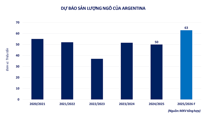 Dự báo sản lượng ngô của Argentina. Nguồn: MXV
