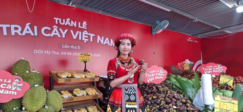 Tuần lễ trái cây Việt Nam 2026 quy tụ nhiều sản phẩm trái cây đặc trưng, tạo cơ hội kết nối giữa nhà sản xuất và người tiêu dùng.