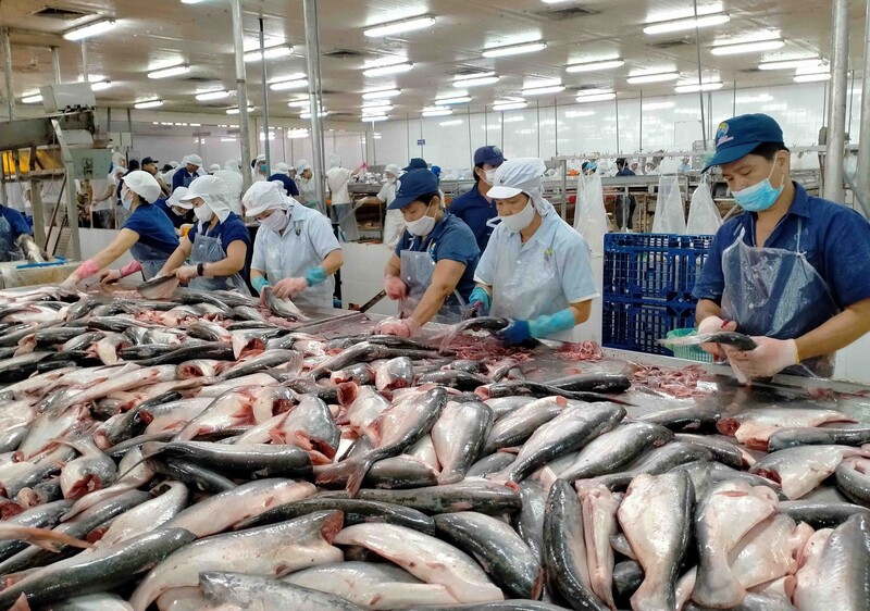 Thủy sản tiếp tục tăng trưởng ở cả khai thác và nuôi trồng. Ảnh minh họa