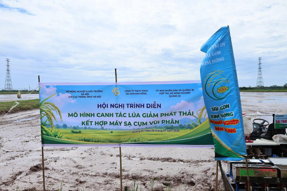 Mô hình canh tác lúa giảm phát thải kết hợp máy sạ cụm vùi phân triển khai tại xã Quảng Bị, Hà Nội. Ảnh: Xã Quảng Bị z8013838588175-73d5e647df5ebdea338b23718ebac8ae.jpg