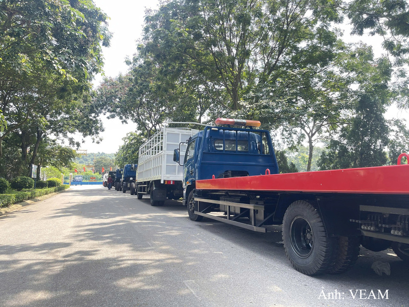 Nhiều chủng loại xe được đưa ra bán đấu giá