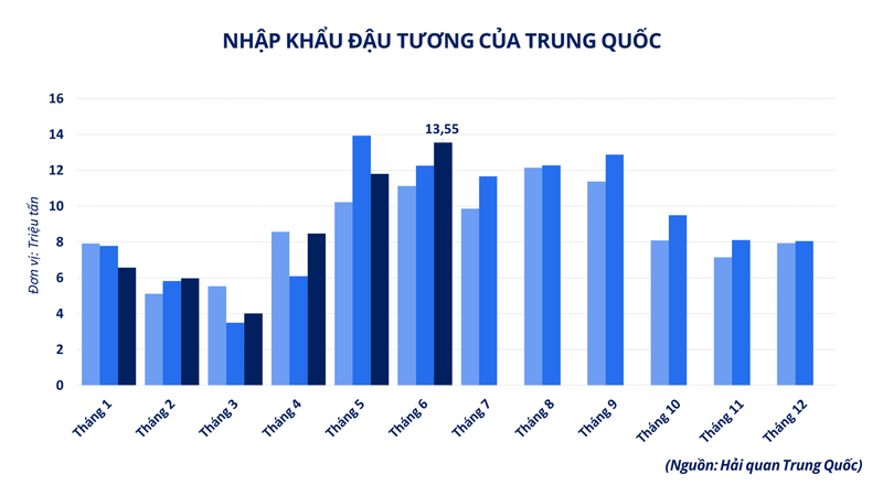Nhập khẩu đậu tương của Trung Quốc .