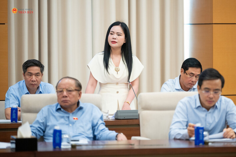 ĐBQH Nguyễn Thị Thanh Bình (Hưng Yên) phát biểu, đóng góp ý kiến về Luật Dầu khí (sửa đổi) tại Phiên họp toàn thể lần thứ 3 của Ủy ban Kinh tế và Tài chính.