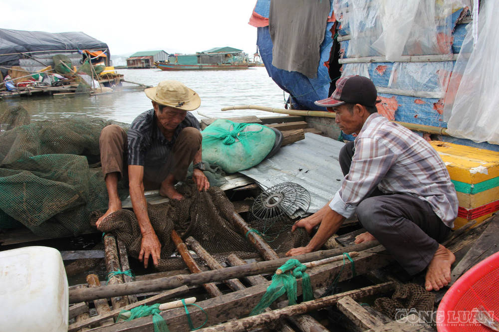 Sau cuộc đối thoại, người dân và doanh nghiệp đã tìm được tiếng nói chung clo_br_1786414782550-7020462797444541469-7020462797444541469-83ed2b28c61e7f0599dfe718ec420f4d.jpg