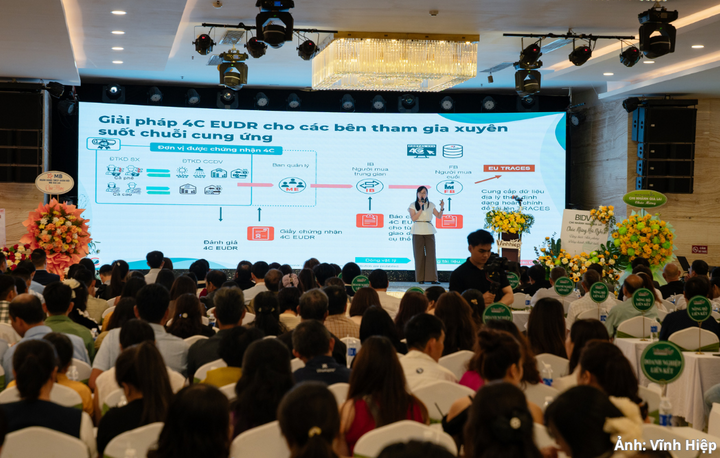 Một trong những yêu cầu được quan tâm là Quy định chống phá rừng của Liên minh châu Âu (EUDR).