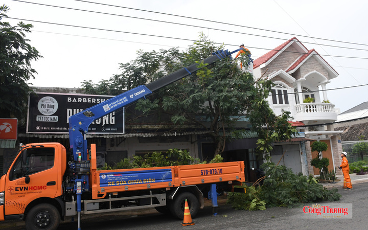 Vào mùa mưa bão, ngành điện thành phố thường xuyên phối hợp với các đơn vị quản lý cây xanh để rà soát các tuyến đường dây có cây cao, cây to, dễ ngã đổ để chặt tỉa, ngăn ngừa cây ngã đổ vào lưới điện.